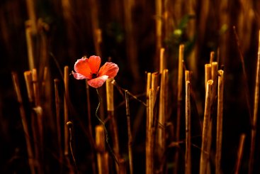 5. Lieblingsbild NP.jpg