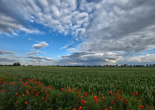DSC_8344-Bearbeitet.jpg
