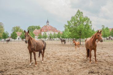 Neustadt / Dosse