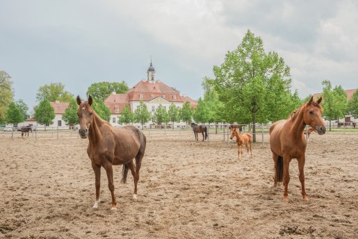 Neustadt / Dosse