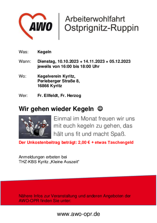 THZ Kyritz Flyer Kegeln