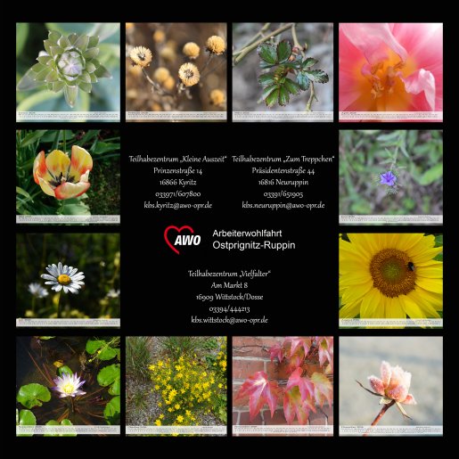 Rückseite Kalender 2026